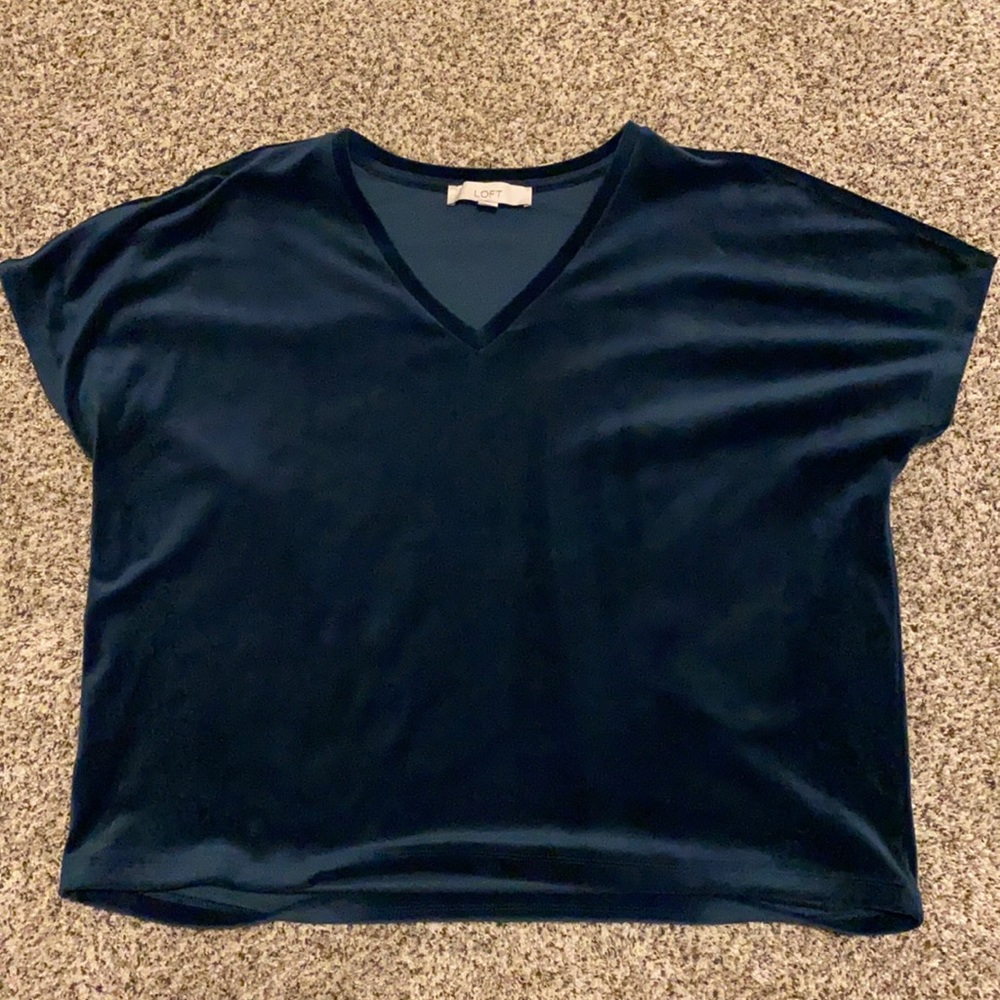 Velvet LOFT shirt